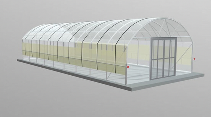 Polytunnel (5m x 20m length) - Wind resistant