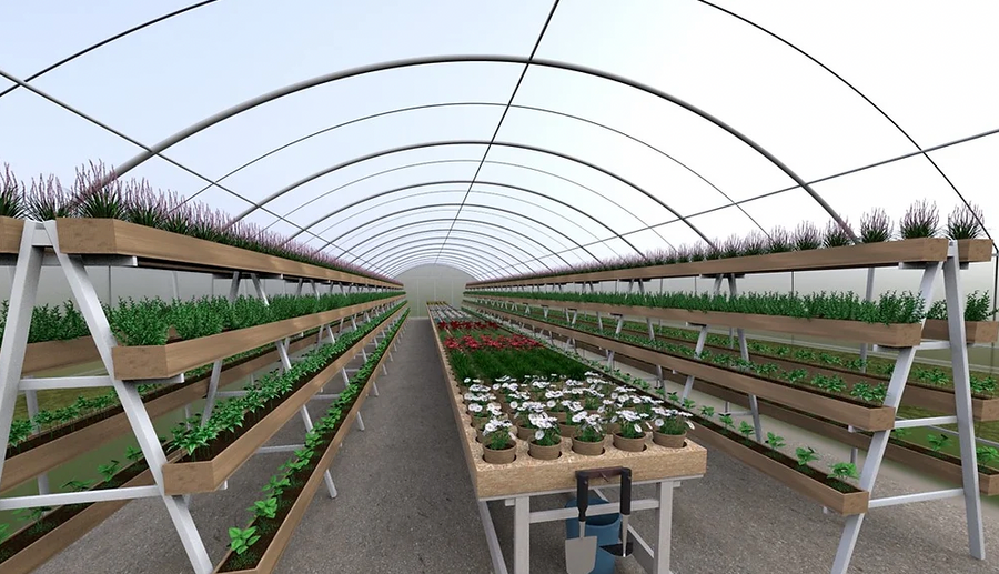 Polytunnel (6m x35.25m)